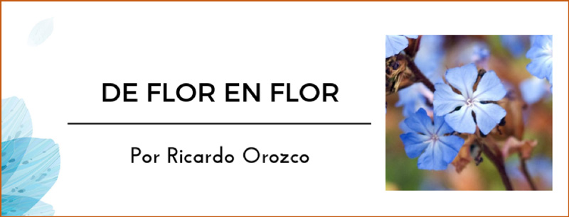 de flor en flor Ricardo Orozco
