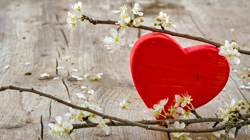 corazon de madera rojo entre flores