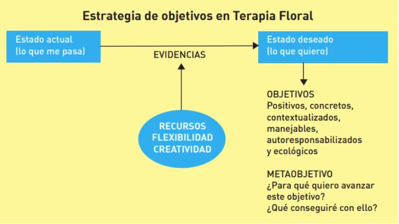 Objetivos terapia floral 