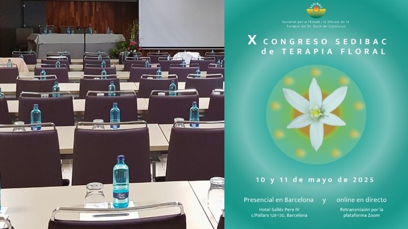 MA MAYOPasó el congreso