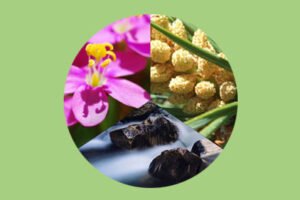Curso: las Trilogías Florales