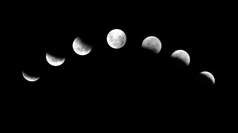 Fases lunares y flores de bach