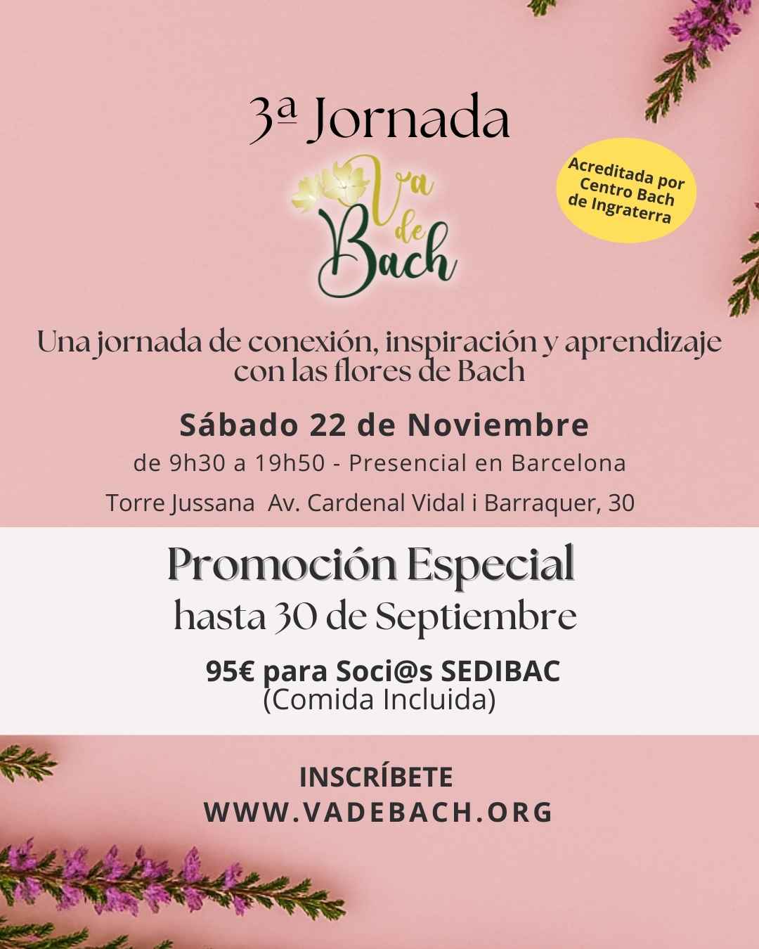3 jornada VadeBach