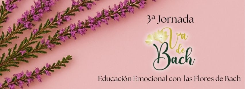 3 jornada VadeBach